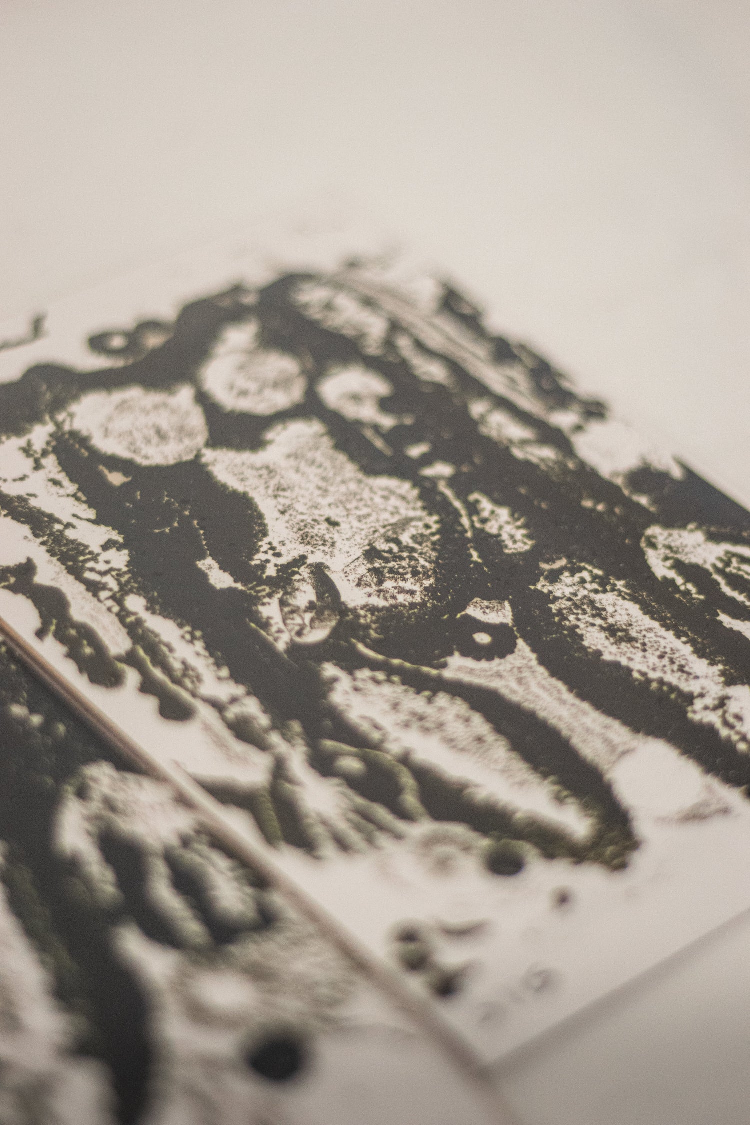 All Fine Art Prints