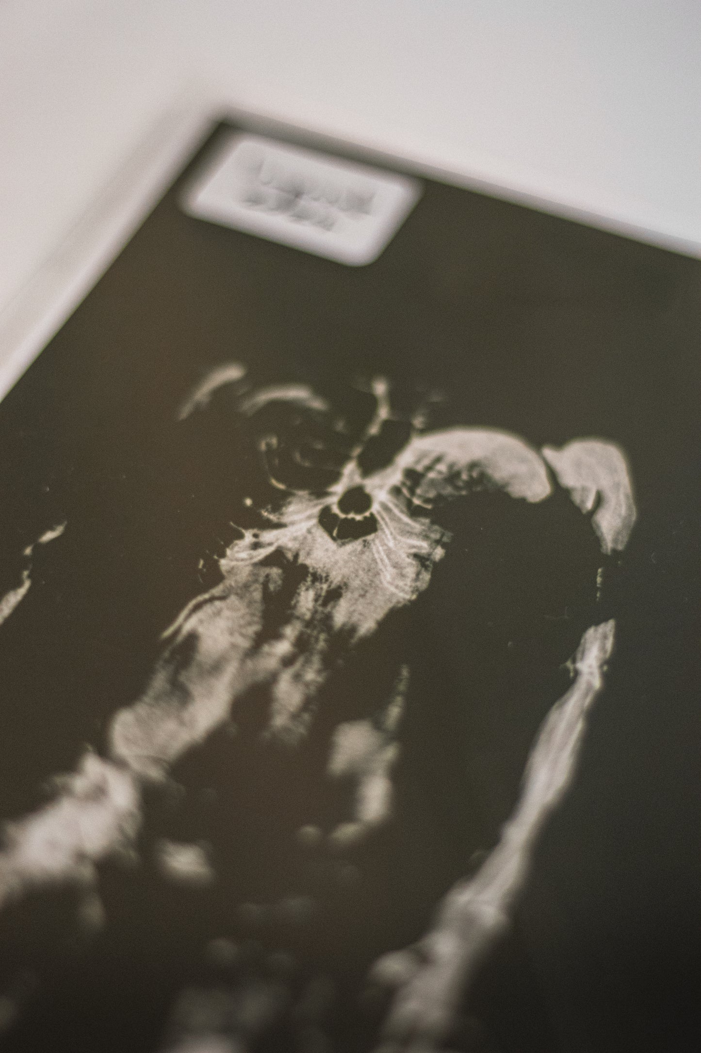 Imprint (2024) Fine Art Print