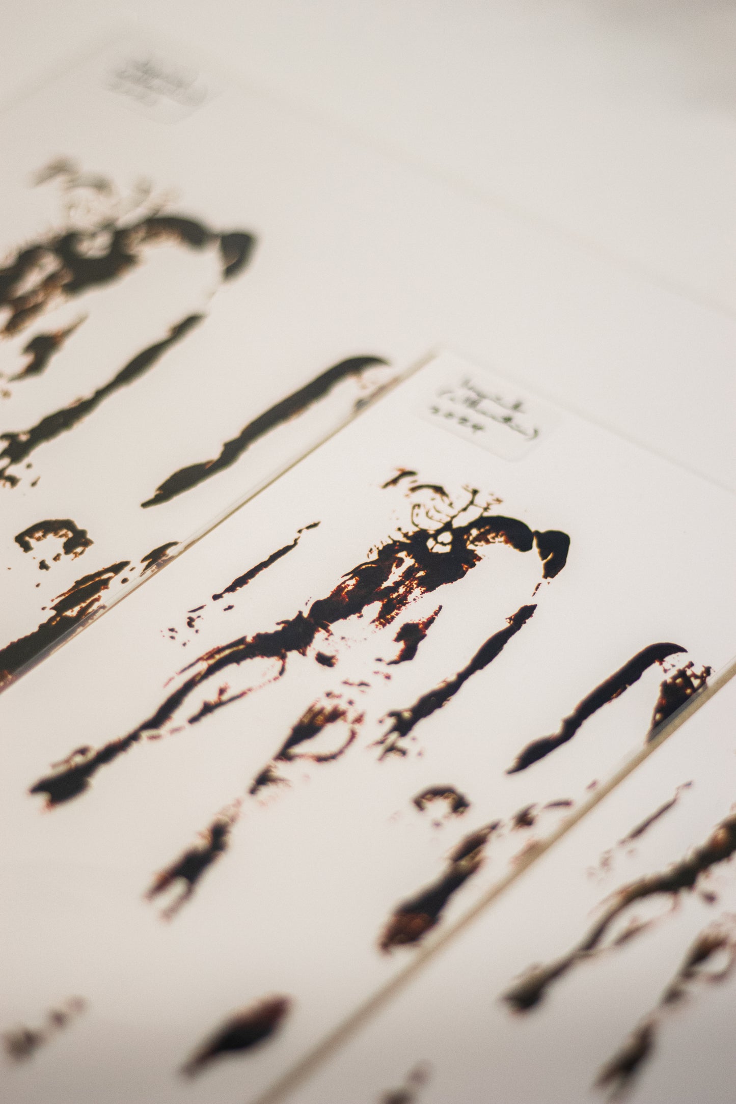 Imprint (2024) Fine Art Print