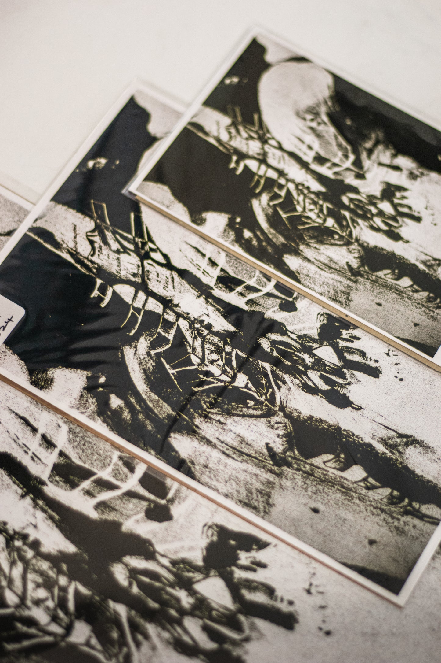 Chest Scan (2024) Fine Art Print