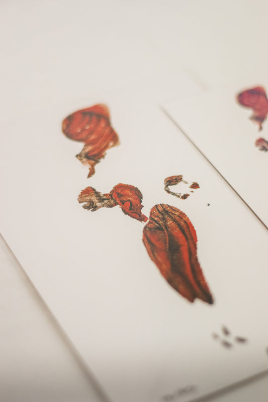 Imprint of the Artist (2025) Fine Art Print [LIMITED TO 25]