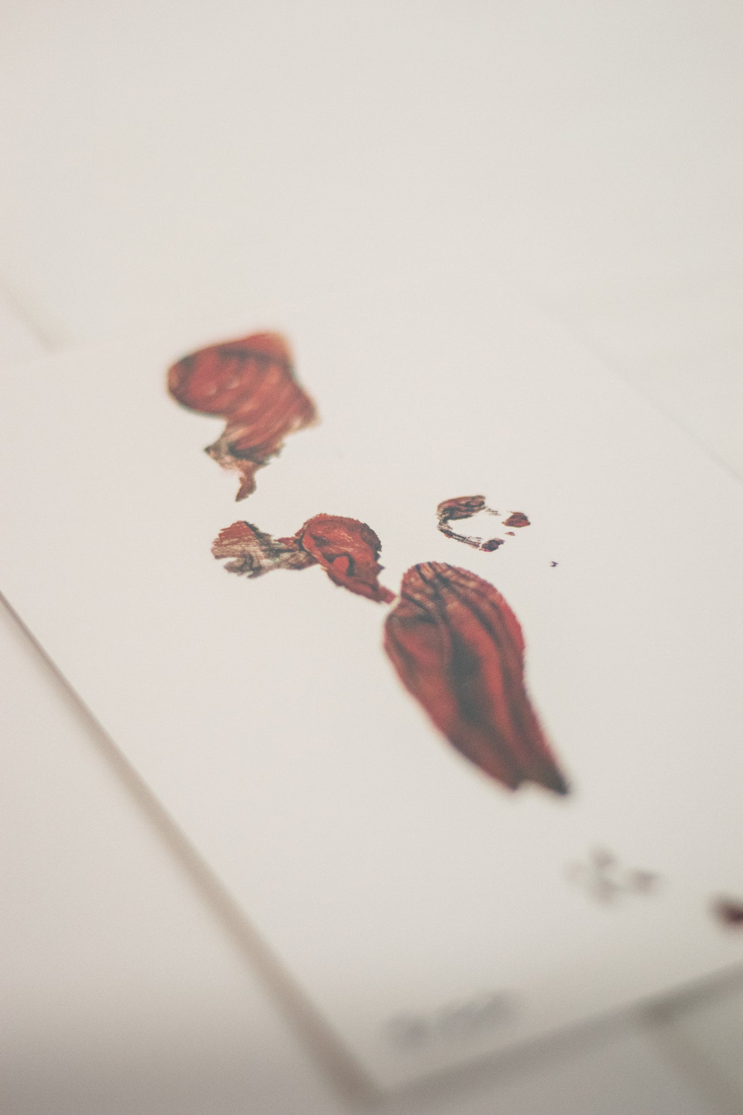 Imprint of the Artist (2025) Fine Art Print [LIMITED TO 25]