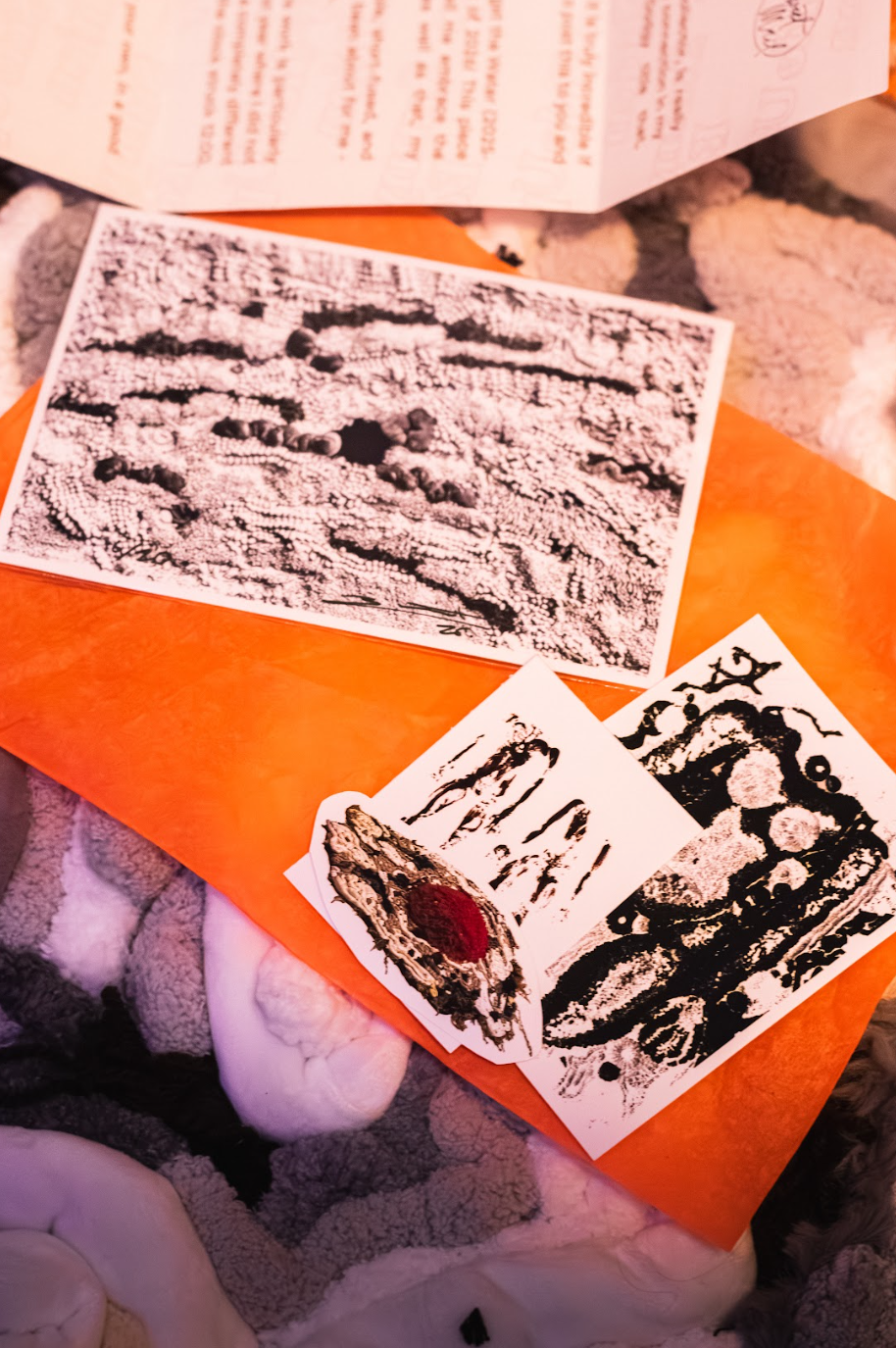 Sweet Mail Catch Up