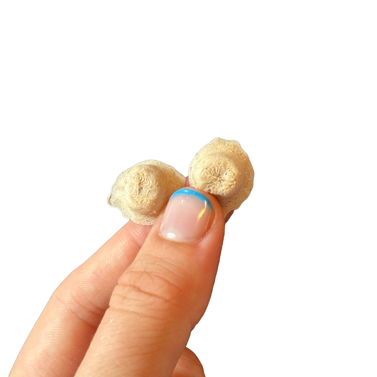 2-Pack Nipple Magnets