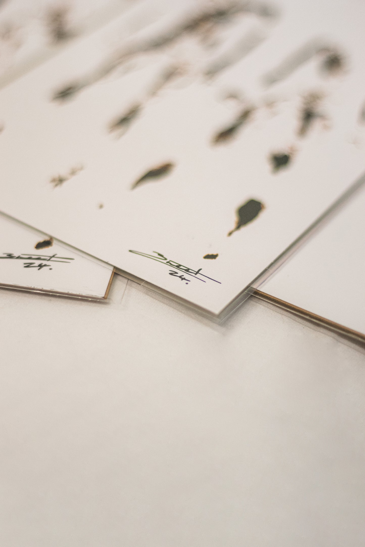 Imprint (2024) Fine Art Print