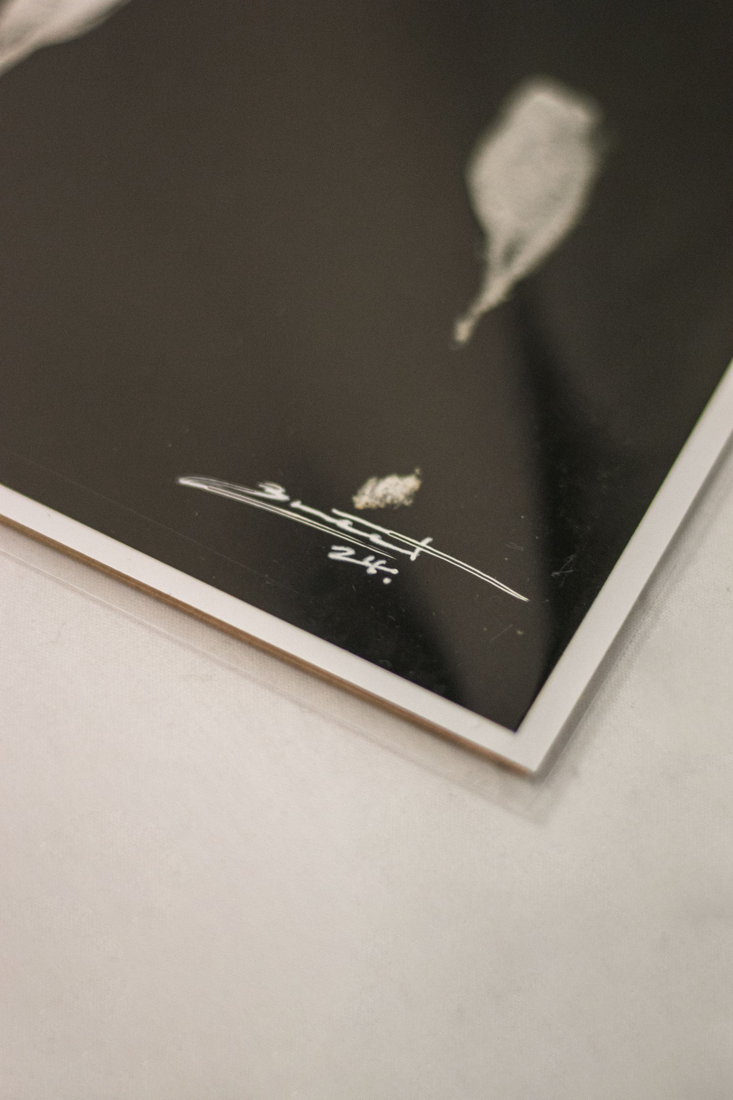 Imprint (2024) Fine Art Print