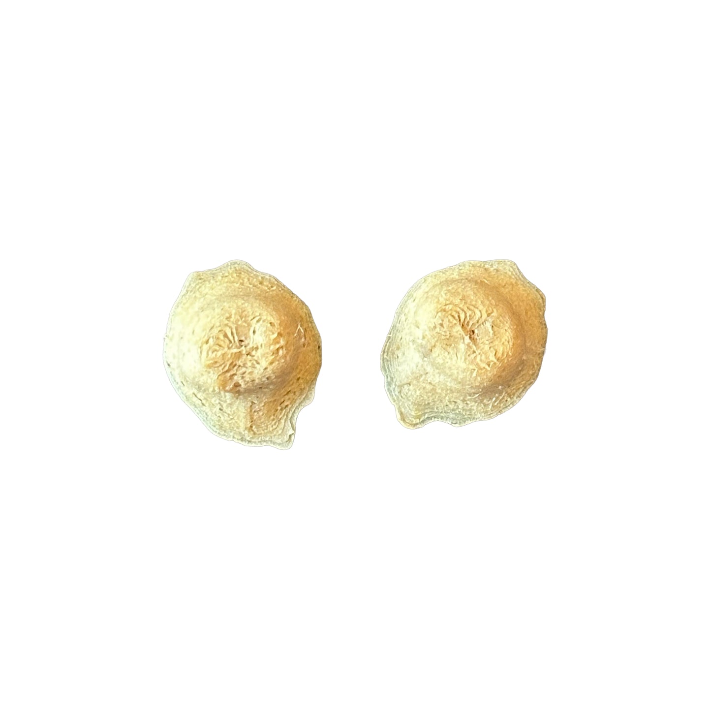 2-Pack Nipple Magnets
