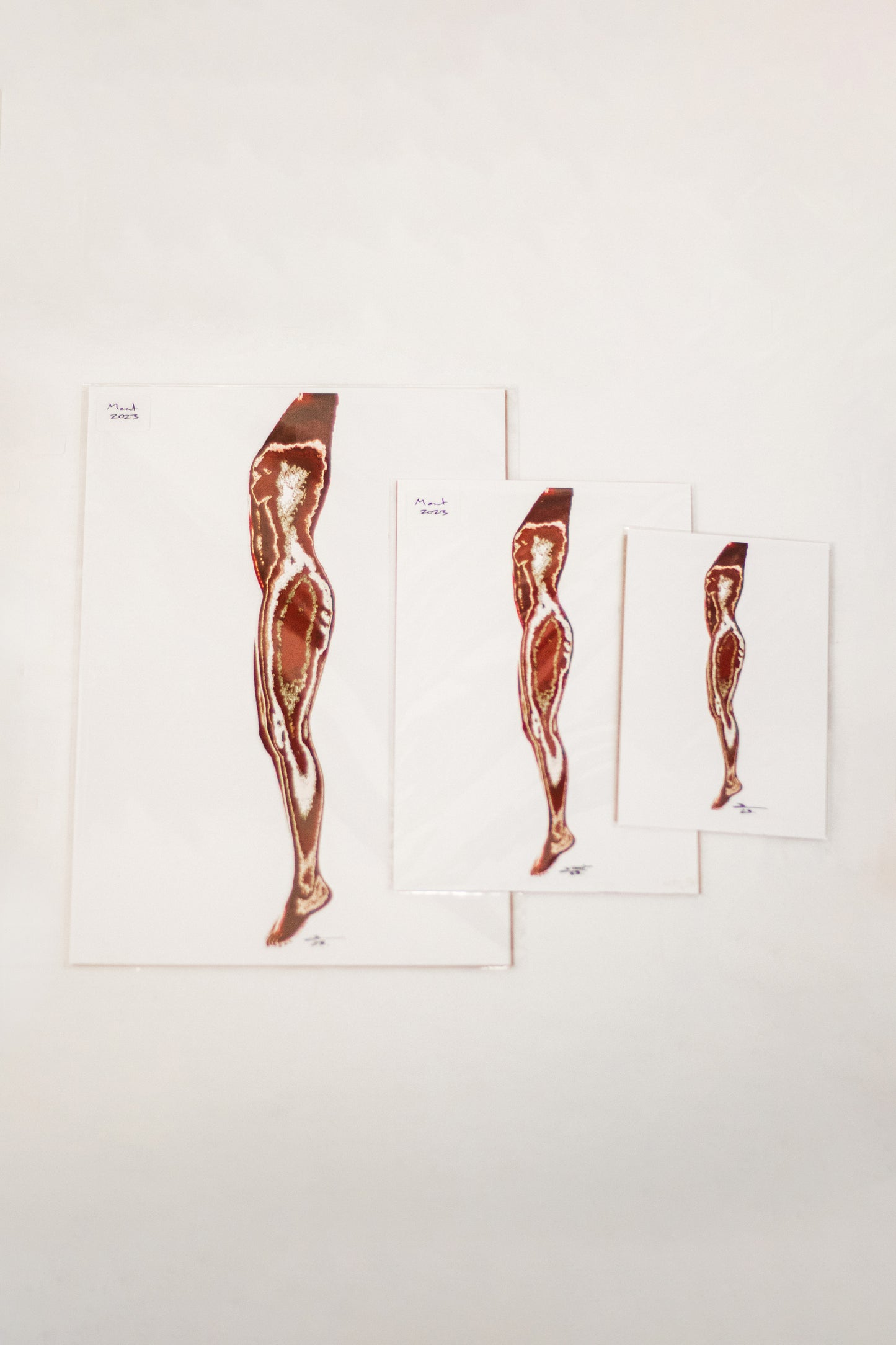 Meat (2023) Fine Art Print