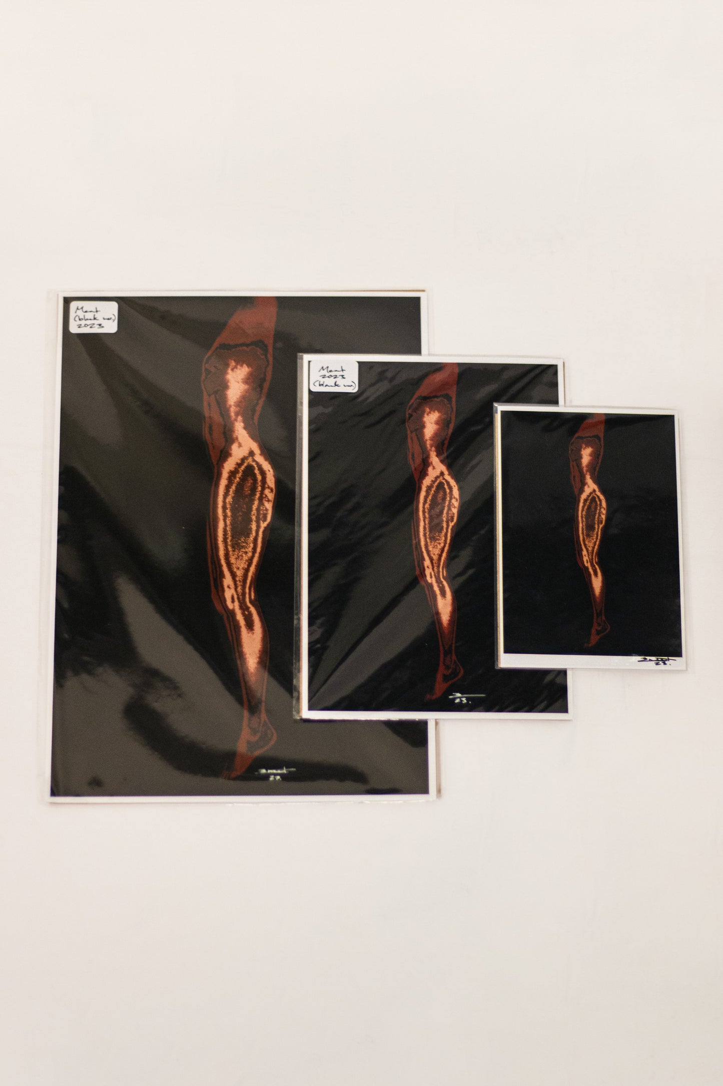 Meat (2023) Fine Art Print