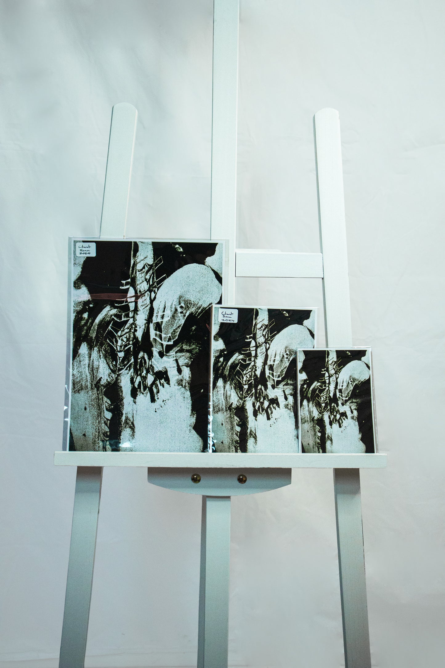 Chest Scan (2024) Fine Art Print