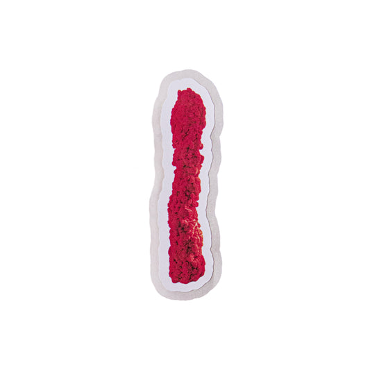 Shlong Vinyl Sticker