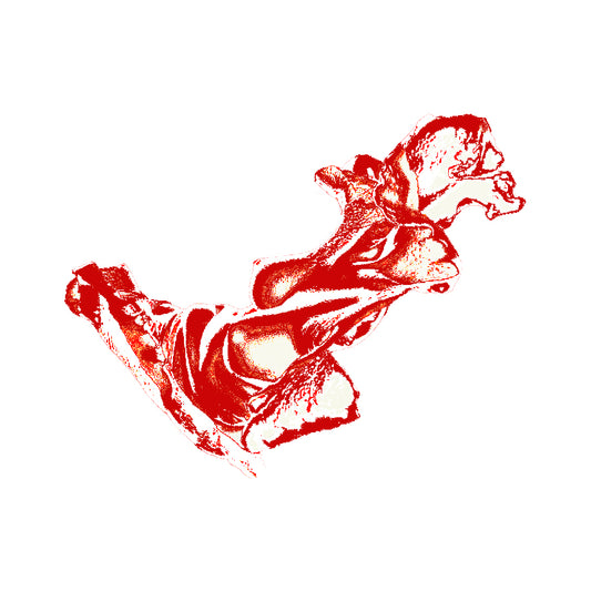 Steak (2026) Vinyl Sticker