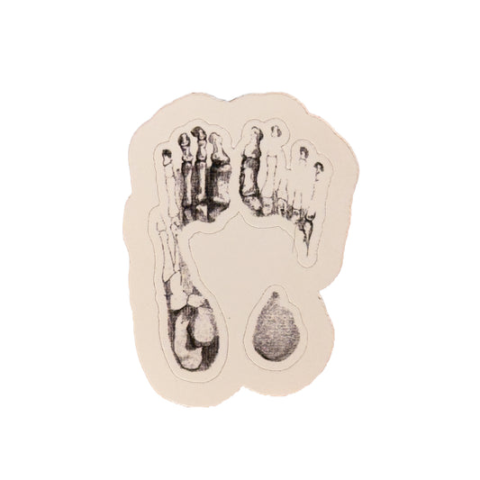 Study #7 (2026) Vinyl Sticker